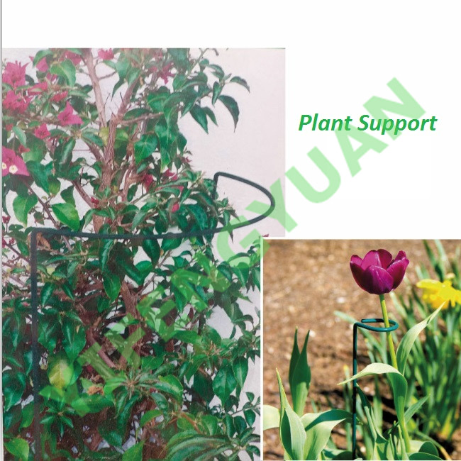  Plant Support