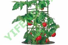 Plant Support Wholesale