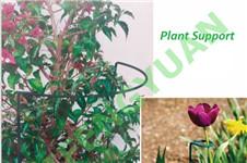 How to Choose Plant Support Rings?